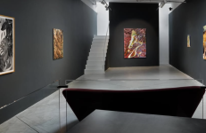 DSC Gallery