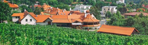 Restaurace Salabka