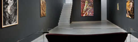 DSC Gallery