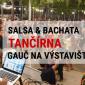 Salsa Bachata Tančírna na Gauči 2024
