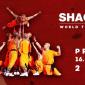 Shaolin show