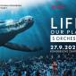Life on Our Planet: Filmový večer s živým orchestrem