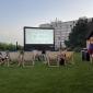 Letní kino ve Spojovně: Na samotě u lesa