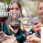 Karlínské vinobraní