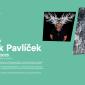 Výstava Marek Pavlíček