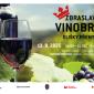 Zbraslavské vinobraní Elišky Přemyslovny.