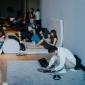 GOODGOOD x Kunsthalle: Ambient READ