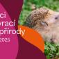 Ježci se vrací do přírody