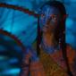 Avatar: Oheň a popel - Filmová premiéra