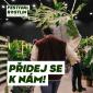 Výprodej rostlin z Festivalu Rostlin