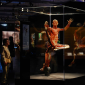 Body Worlds – tělo v pohybu | Výstava