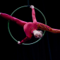 Czech Aerial Hoop Open 2026