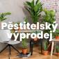 Pěstitelský výprodej
