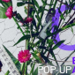 BloominQ Ateliers Pop-up