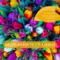 The museum blooms / Tulips
