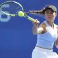 Livesport Prague Open 2026