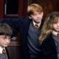 Harry Potter a Kámen mudrců