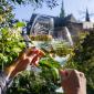 Grape harvest at Prague Castle