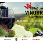 Zbraslavské vinobraní Elišky Přemyslovny 2026