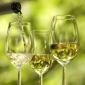 Riesling Rocks - festival ryzlinku