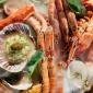 Josper & Seafood