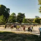 CAMP Tour: Ostrov Štvanice