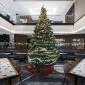 Christmas unlimited buffet brunches & live music