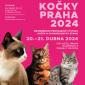 Kočky Praha 2024