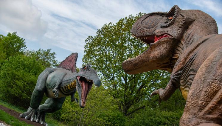 Vítejte v parku DinoLive! 