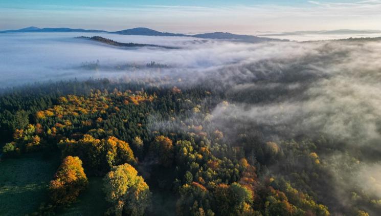 Krajina ztracených příběhů – objevte s námi zaniklá místa Českého lesa