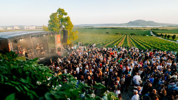 Music in the vineyards with Raiffka is growing: sixth location, more concerts, new performers