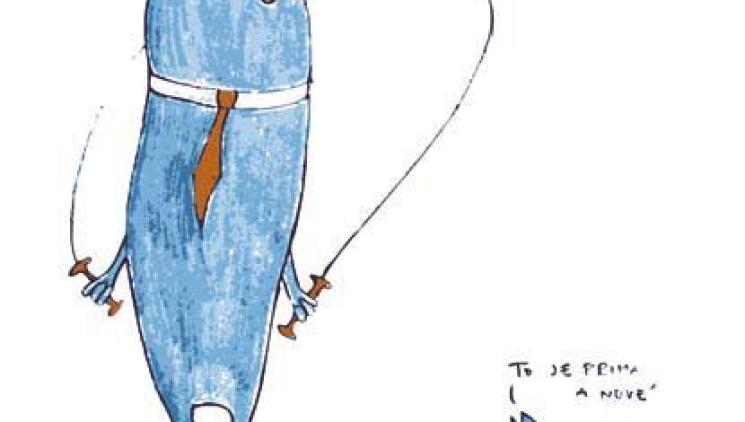 Pošetilost mocných