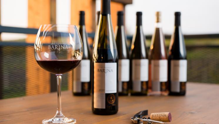 Degustace domácích vín s výhledem na viniční trať Krásná Hora  