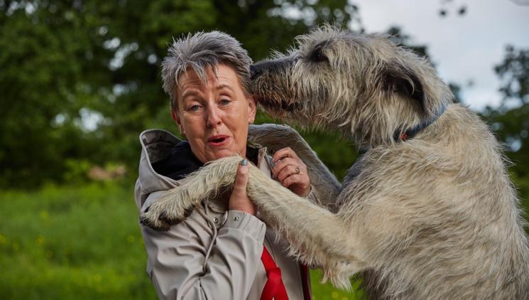 Irish Wolfhound: The largest dog in the world deceives with its body.