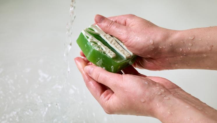 ČSO a Lush se spojují v kampani na záchranu mokřadů