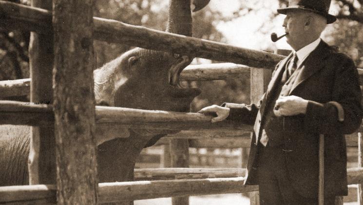 PŮLKULATINY VE VELKÉM STYLU: ZOO PRAHA OSLAVÍ SVÉ 95. VÝROČÍ