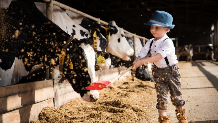 Doubravský Dvůr: Dobroty z čerstvého mléka i pohled do nitra zemědělského života 