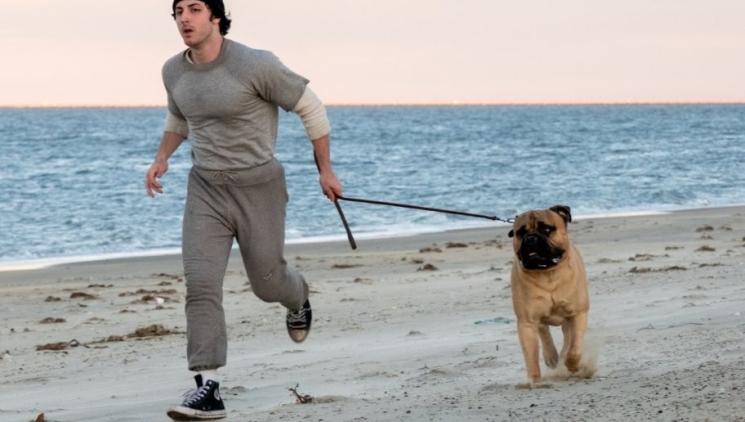Já, Rocky: příběh Stalloneho sázky na vlastní sen míří do kin
