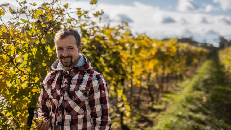 Michal Kacetl: Vyrábíme vína respektující přírodu 