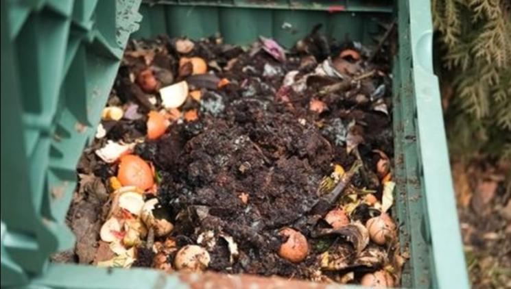 Kompost bez zápachu: jak začít správně