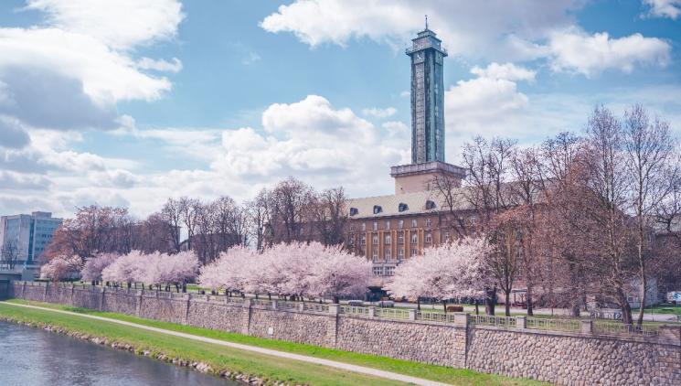 JARNÍ OSTRAVA: INDUSTRIÁLNÍ DĚDICTVÍ, KULTURA I ZELEŇ