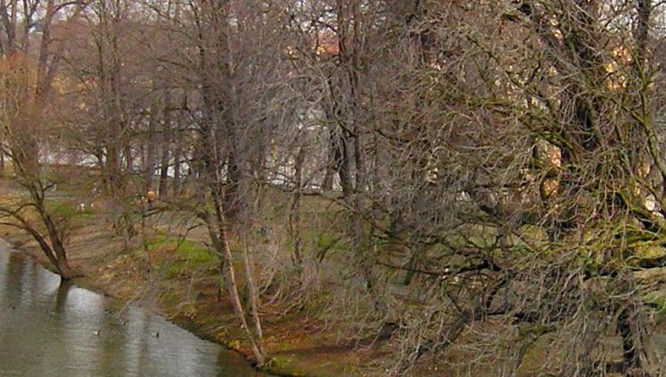 Tři pražské ostrovy pěšky: rodinná procházka podél Vltavy bez vstupného