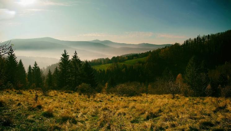 Objevte nejskrytější turistické trasy v Česku