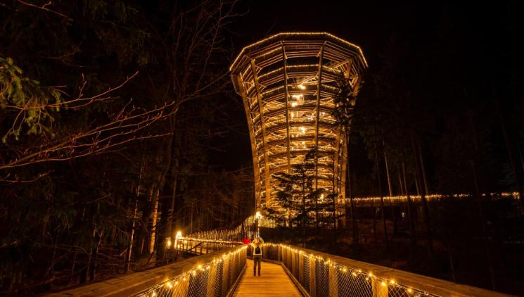 Krkonoše navazují na úspěšný světelný projekt: Světelné zimní hry v Janských Lázních nabídnou magické večerní dobrodružství.