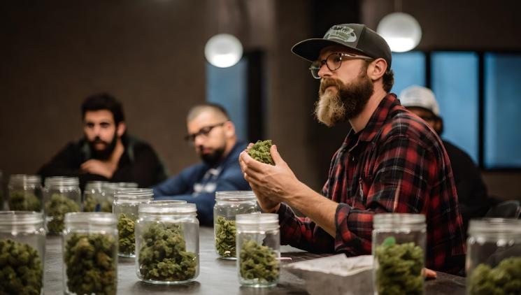 Vášeň pro konopí: Všechno začalo v roce 2016…