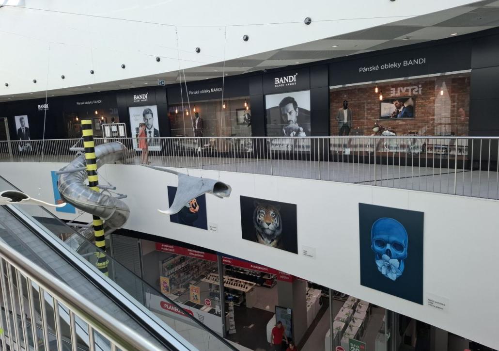 1_1.jpeg