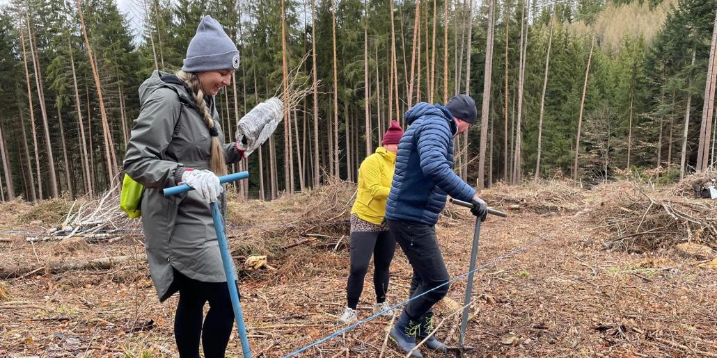 czech-team-planting-trees-04.jpg