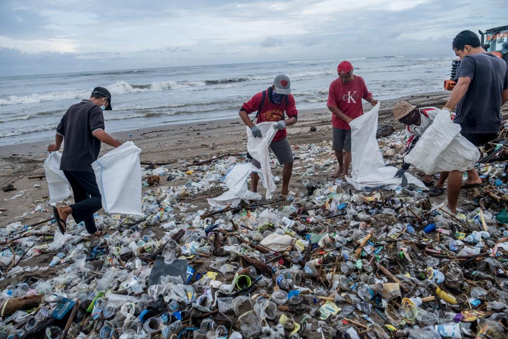 first-collectors-on-the-beach.jpg