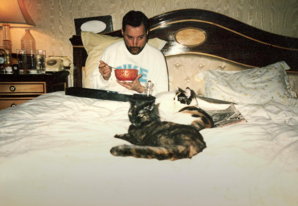 freddiemercury-cats-peterfreestone.jpg