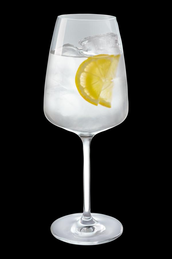 jan-becher-gin-gintonic.jpg